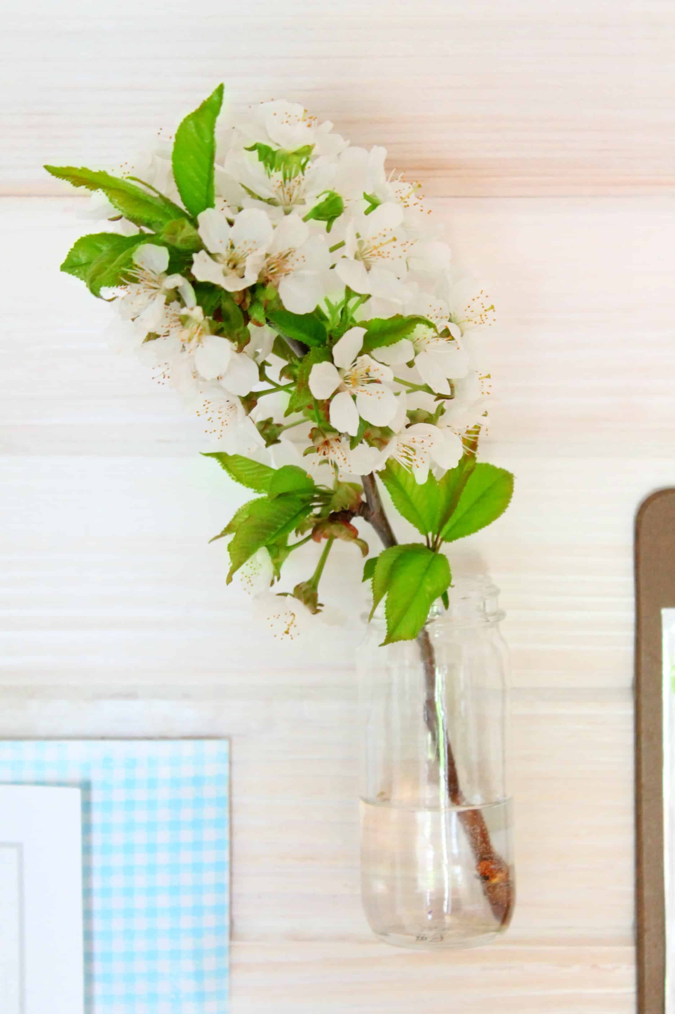 planner, floral, cherry tree