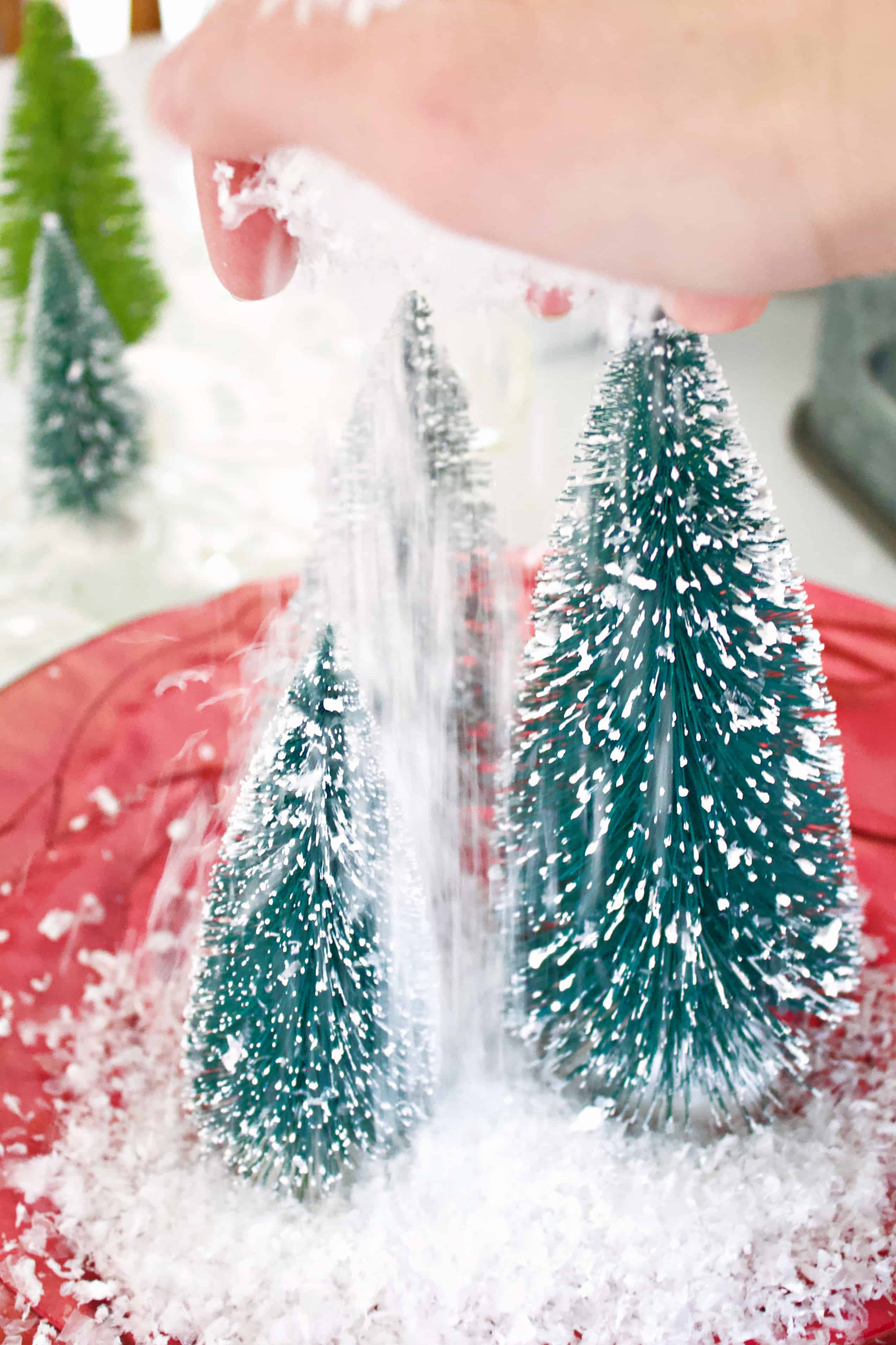 Christmas-terrarium-3-1 - Eryn Whalen Online