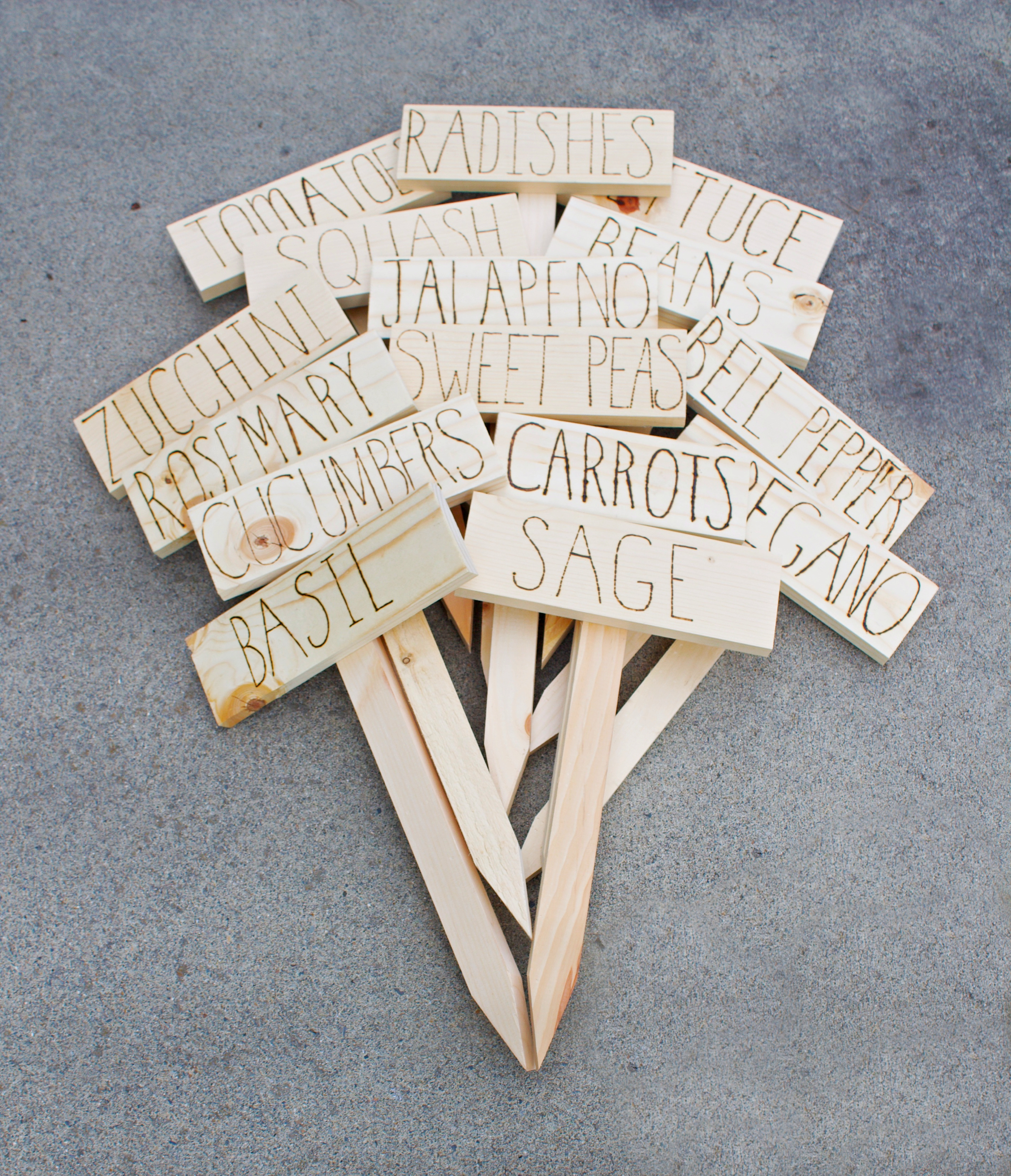 DIY Plant Markers to help organize your garden. A simple and easy project!