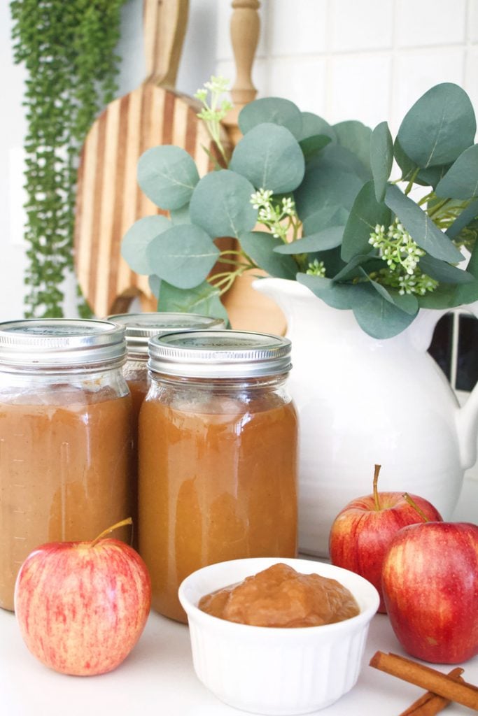 Applesauce and dried apples are excellent ways to keep yummy apple snacks available all winter long for your family. We are huge apple fans in our house, and these are simple ways to keep them readily available all year long! #applesauce #driedapples #applepreserving 