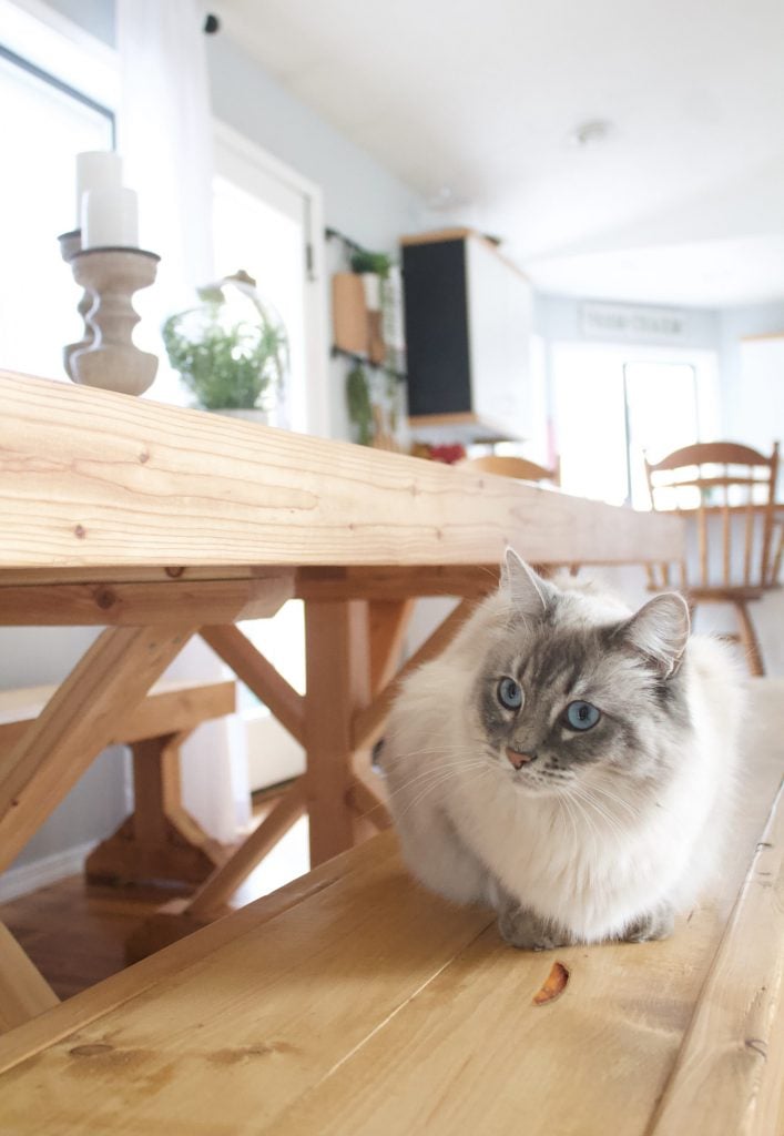 Staining and sealing a table doesn't have to be overwhelming. Follow this staining furniture how to for a beautiful piece of furniture.