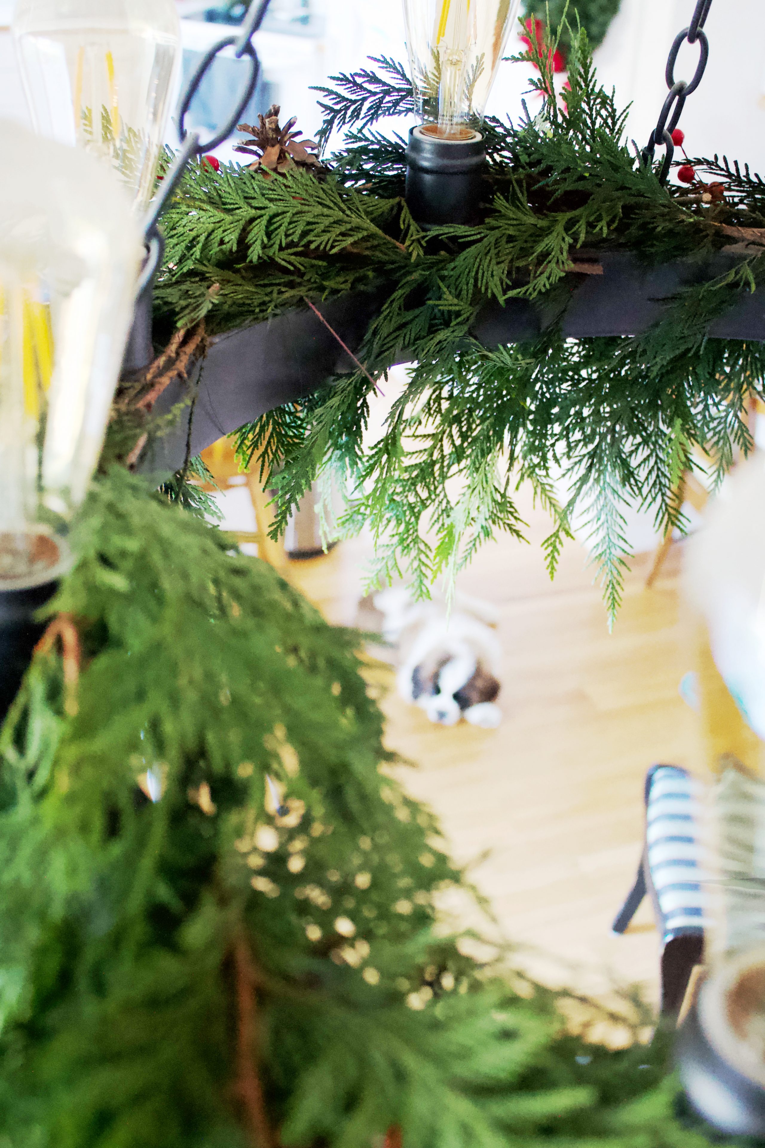 Decorating a chandelier with greenery for Christmas is a great way to add next level cozy to your dinning room or living area. Plus its easy! #garland #chandelierdecor