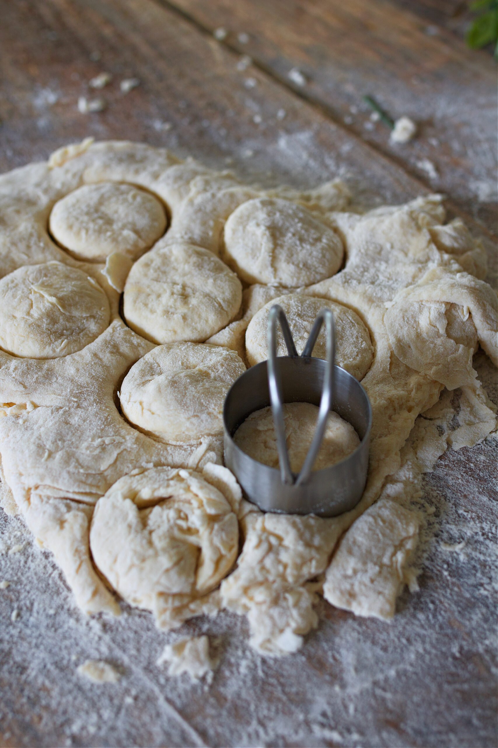 Biscuit dough rolled out on counter with circle cutter in dough. 