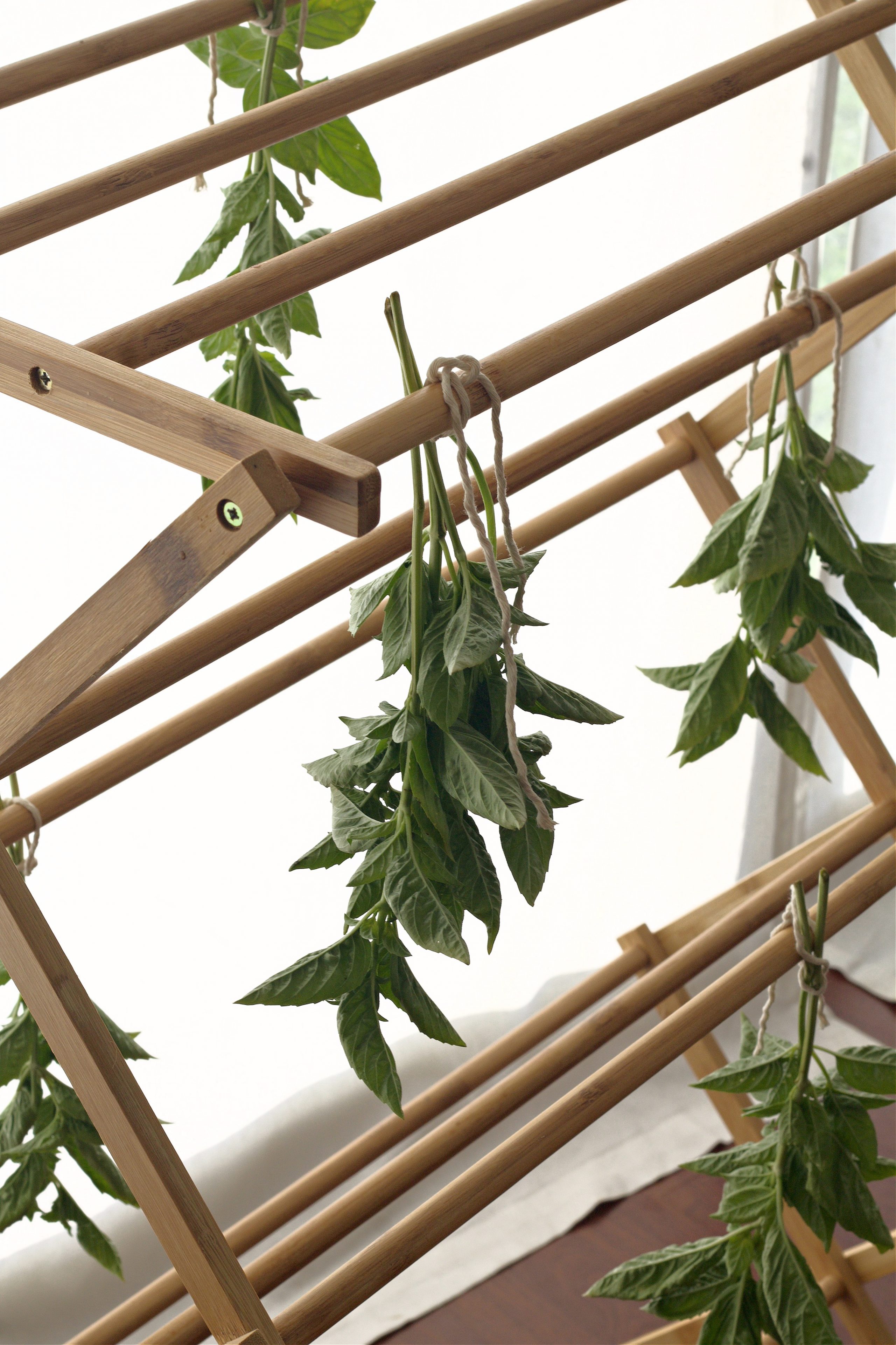 herbs hanging upside down drying on a wooden rack.