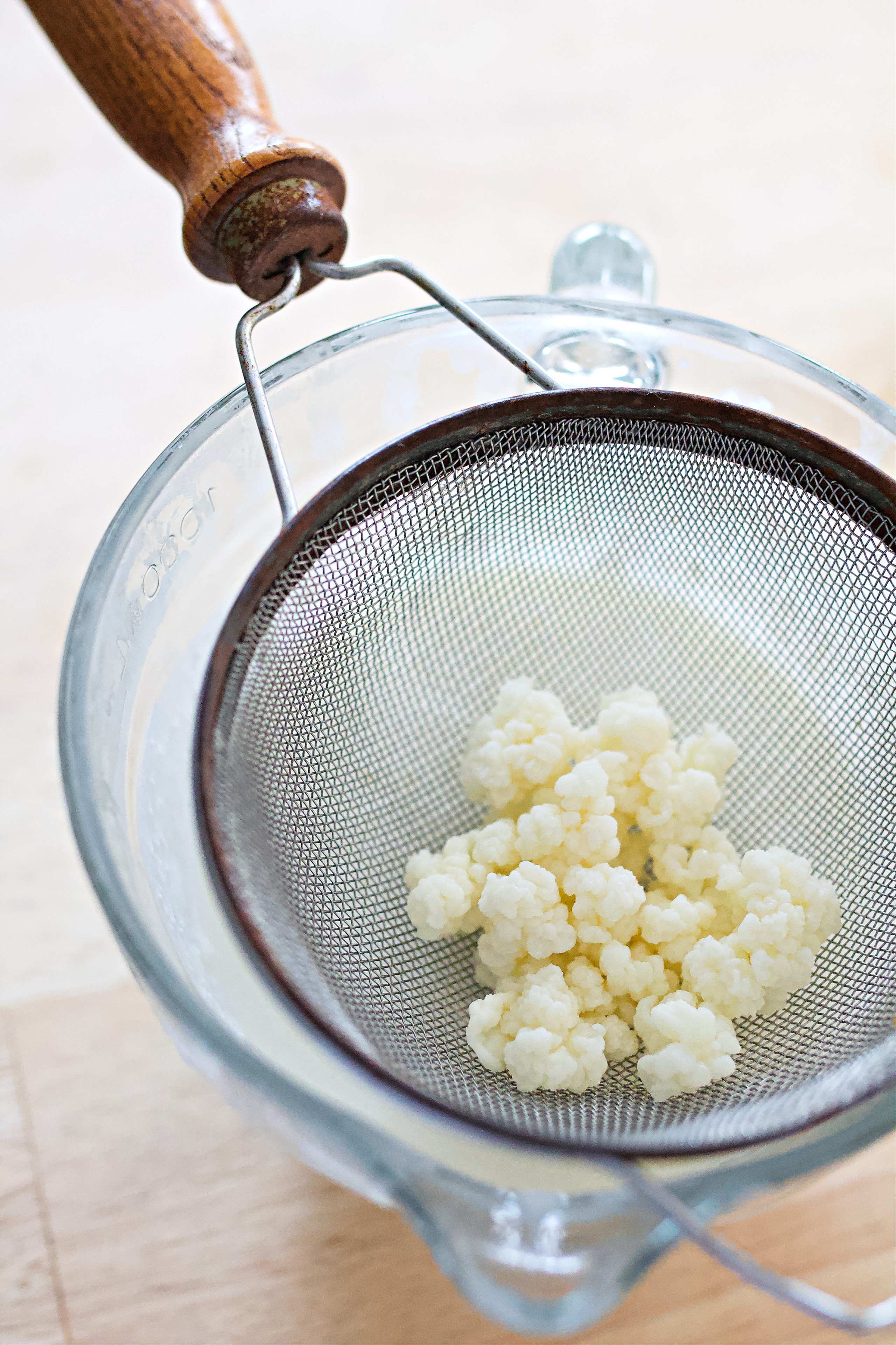 Kefir grains in a strainer. 