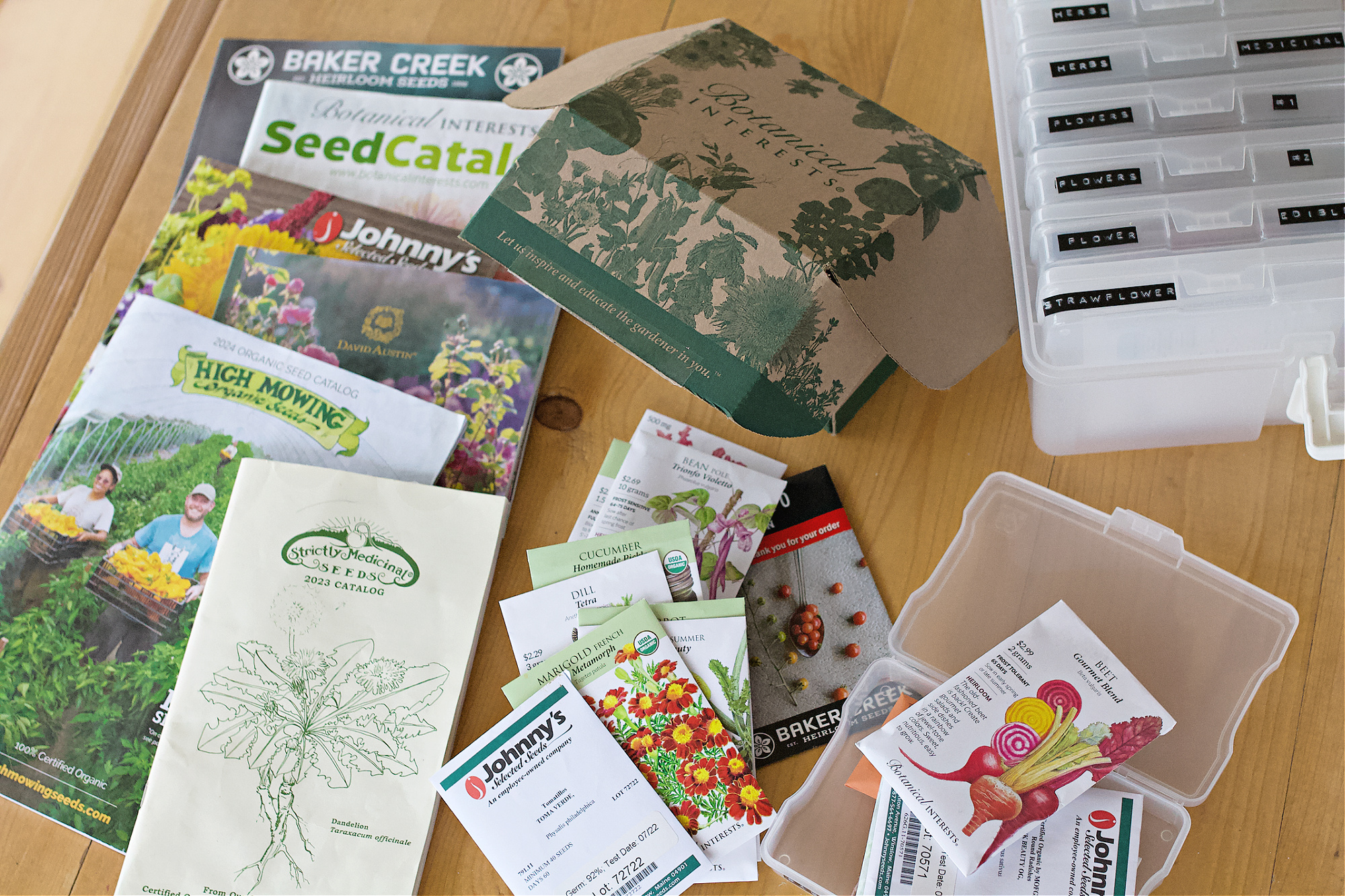 How long does it take for a seed to grow? A Full Guide.