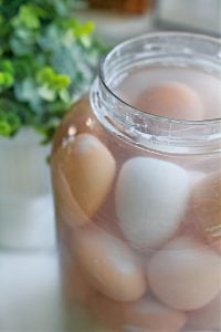 eggs in a half gallon jar for preservation.
