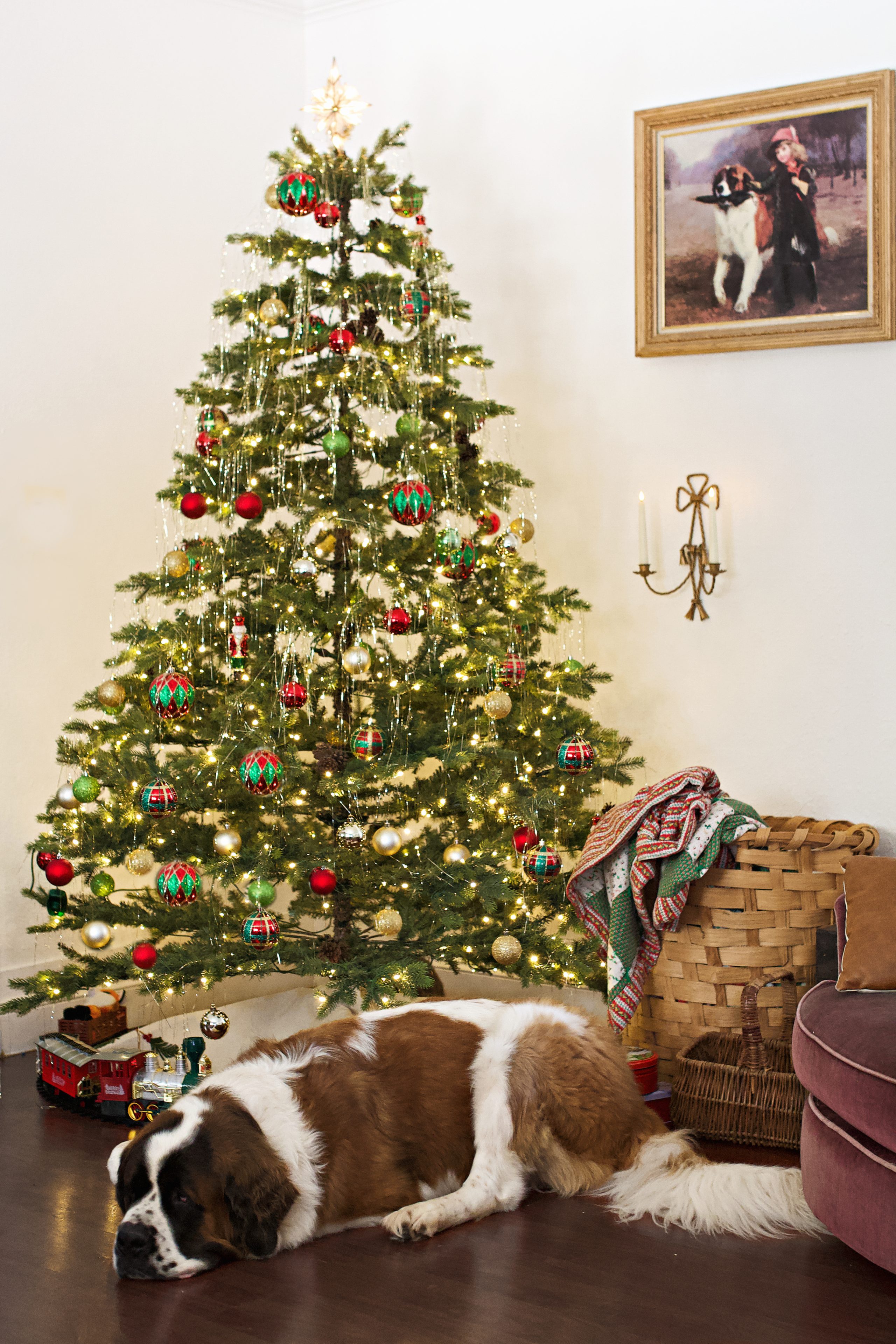 Why I Finally Invested in Quality A King of Christmas Review