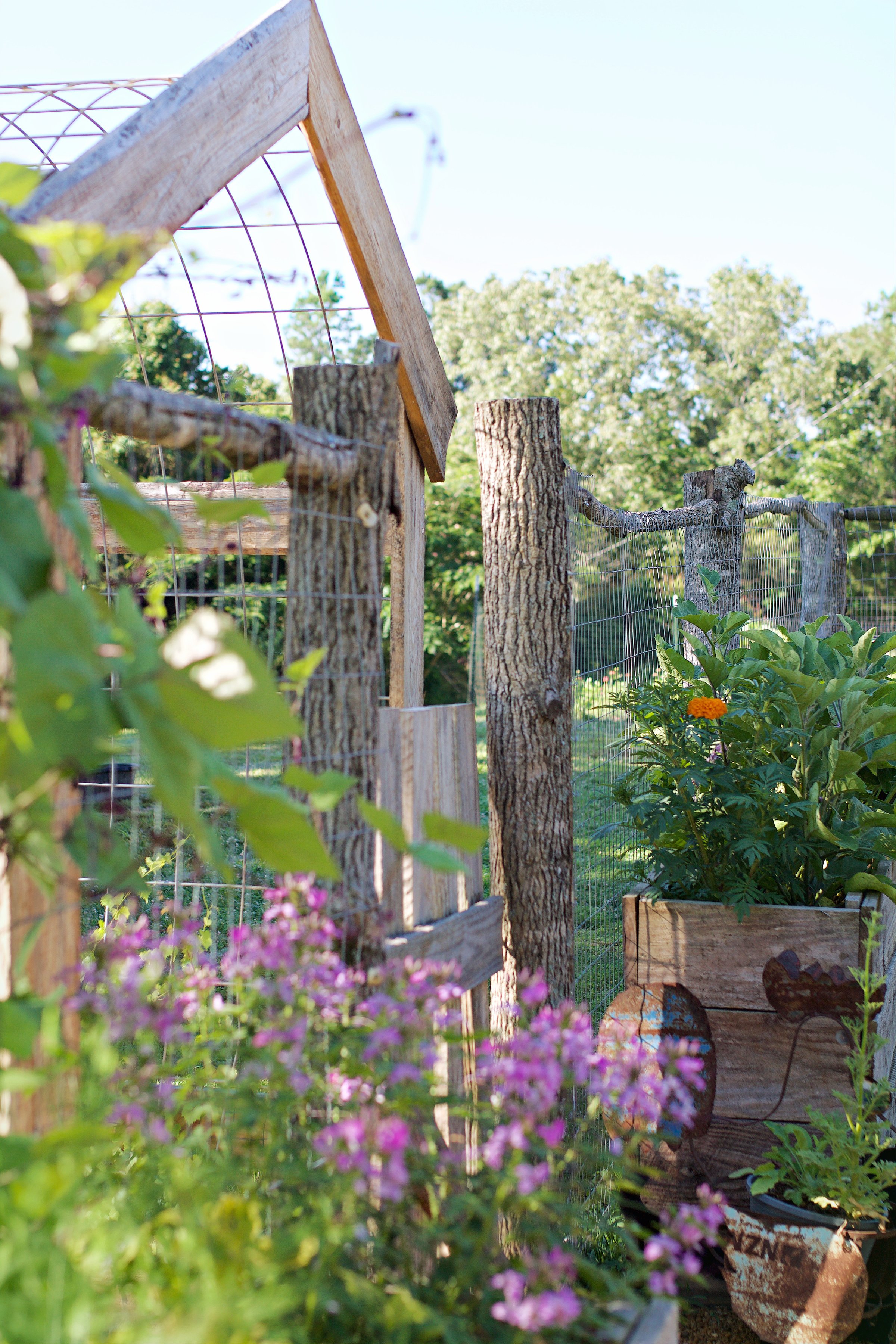 The Best Way To Plan Your Garden | 2026 Planting, image size:2400x3600