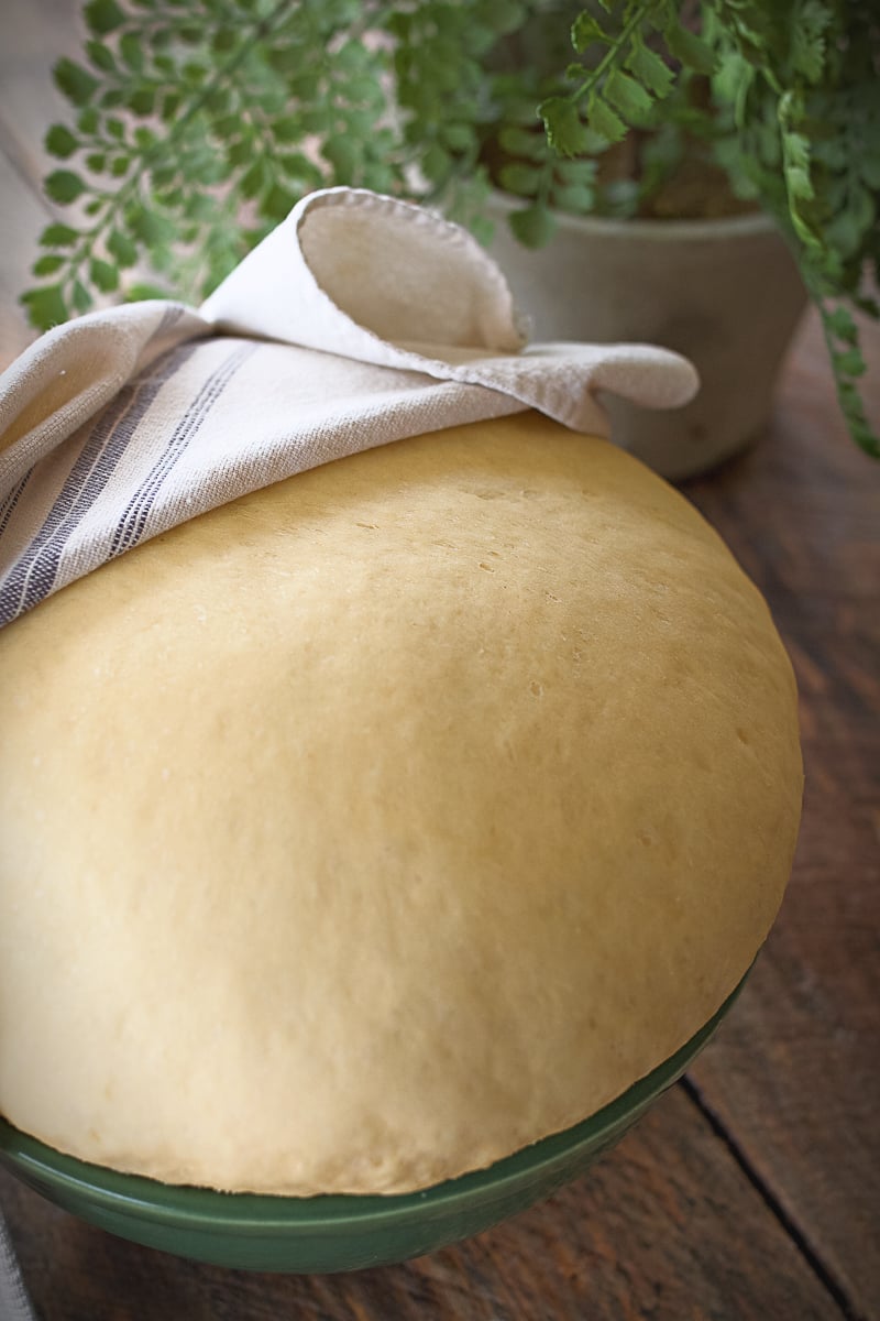 Dough that's been rising in a bowl ready to punch down and shape. 