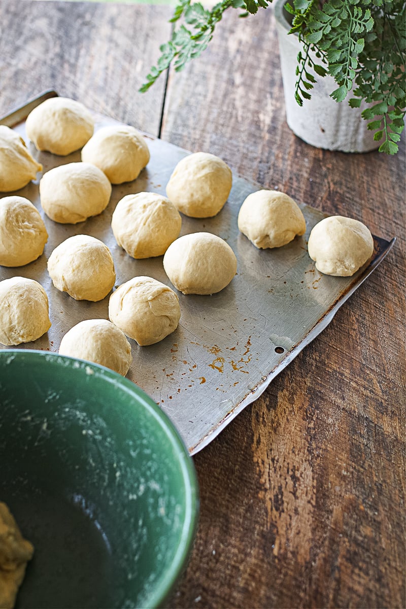 Dinner rolls on cooking sheet ready to go into the oven to bake. 