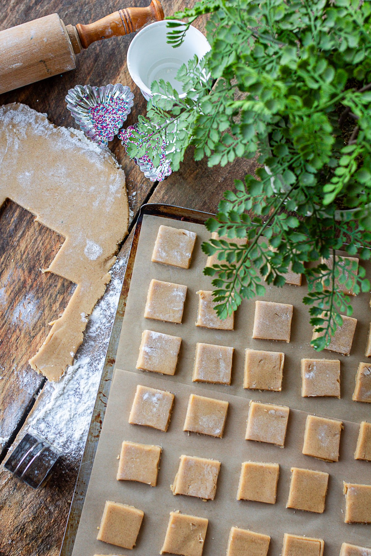 cut out cookie squares on baking sheet. 