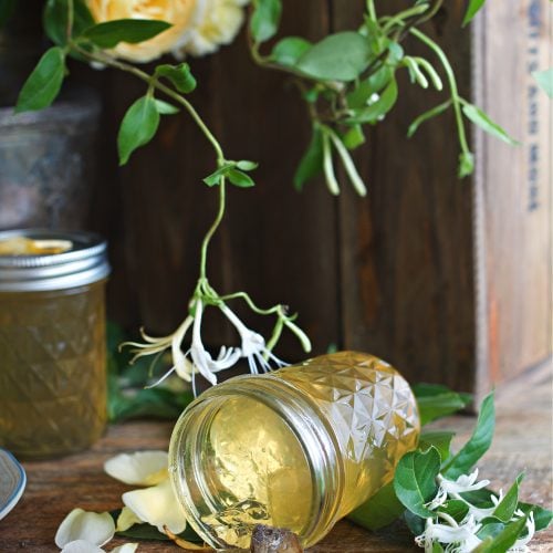 honeysuckle jam tipped over on counter.