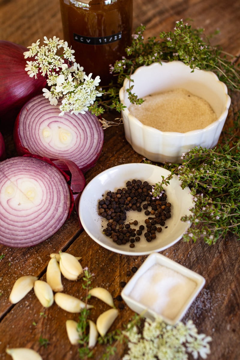 Ingredients on counter for picked red onions.