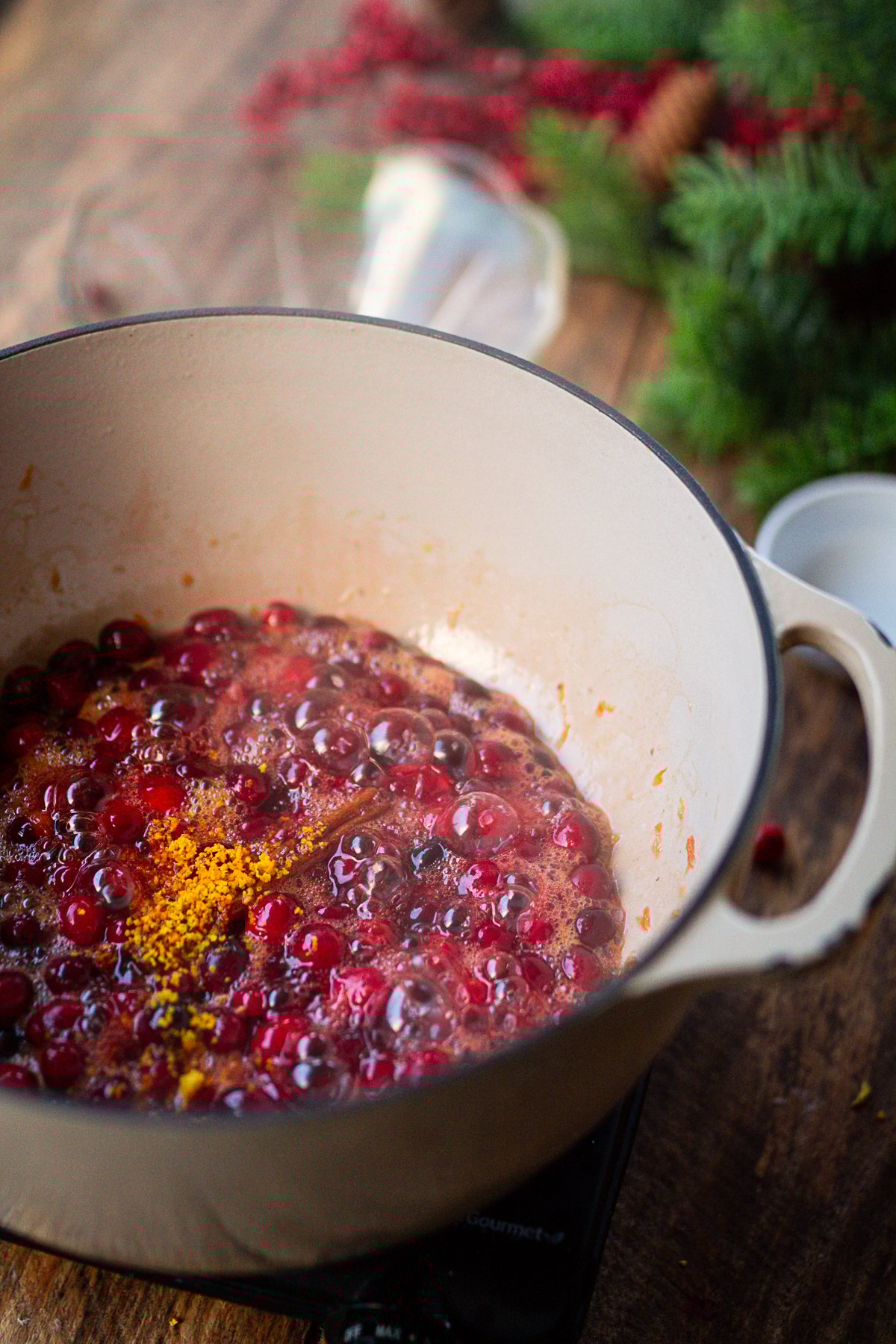 Cranberry sauce with orange zest.