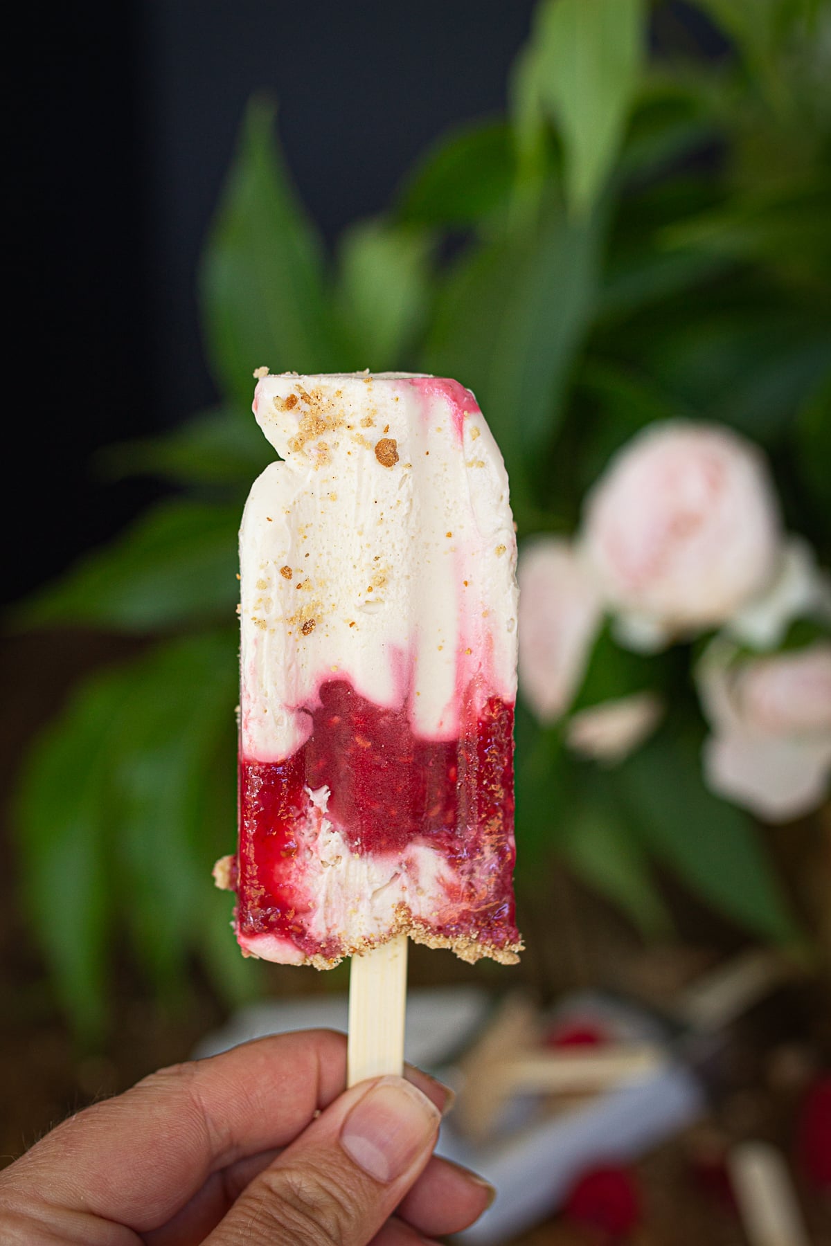 A hand holding up a single marbled raspberry cheesecake popsicle against a softly blurred green leaf and pink flower background.