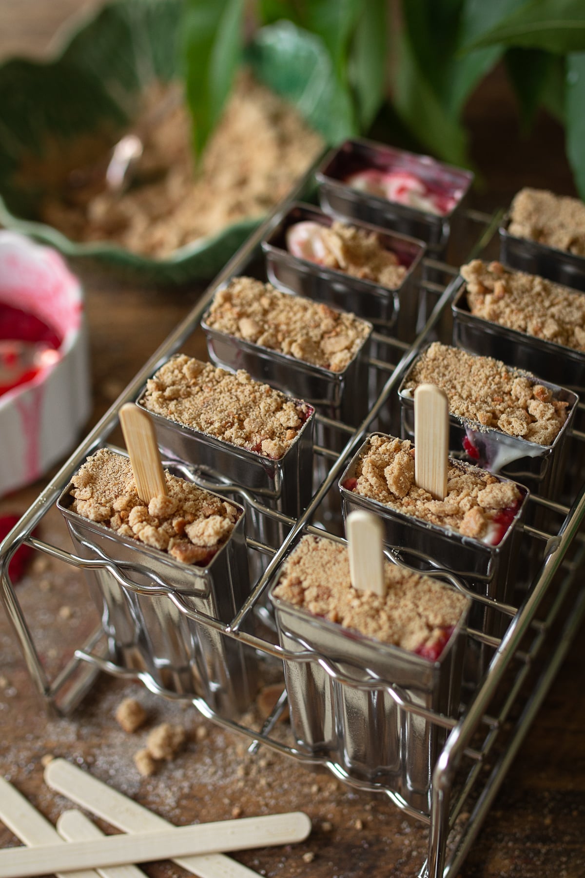 side-angle shot of stainless steel popsicle mold topped with graham cracker crumbs, and wooden popsicle sticks.