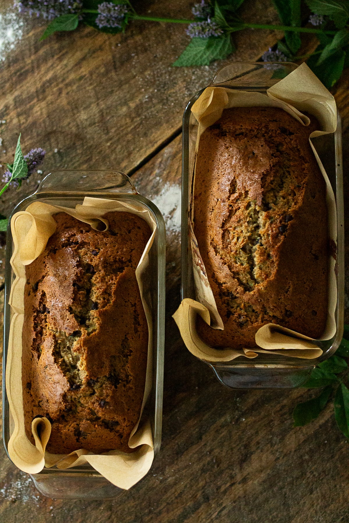An overhead shot of two freshly baked golden loaves of chocolate chip zucchini bread cooling in glass loaf pans lined with parchment paper on a dark wood surface.