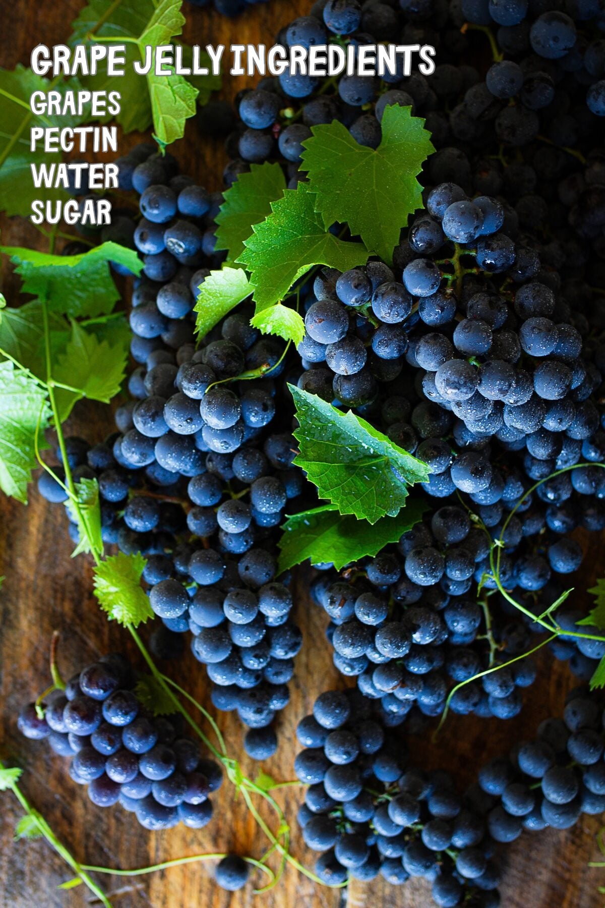 Freshly washed Concord grape clusters with green leaves on a rustic wood table with ingredients overlay: grapes, water, pectin, sugar.