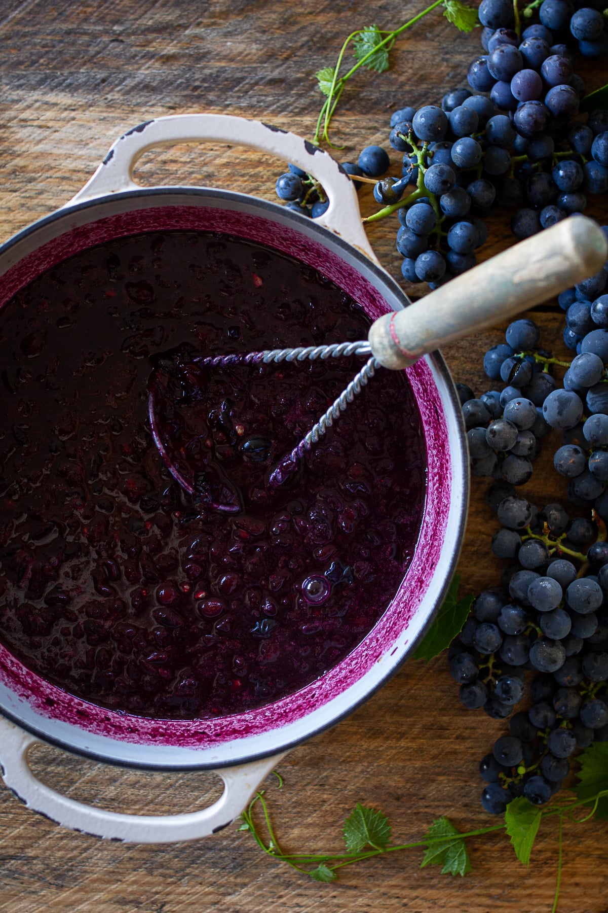 Cooked Concord grapes mashed to release their juice for homemade grape juice concentrate