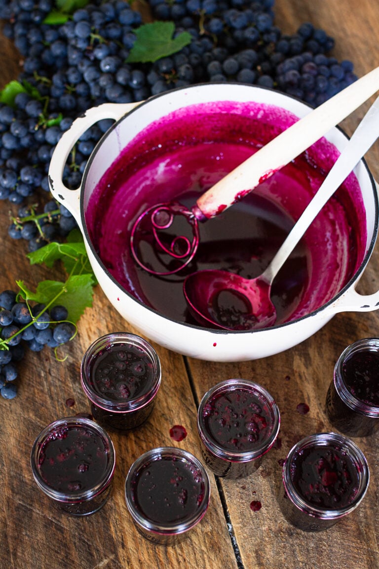 Half-pint jars filled with homemade Concord grape jelly before water bath canning